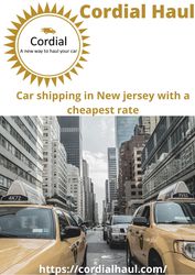Interstate Car Transport within New Jersey,  USA