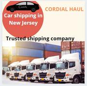 Looking for car shipping? 